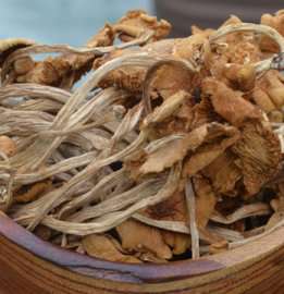 茶树菇图片  天柱山茶树菇价格 野生食用菌厂家 安徽特产团购